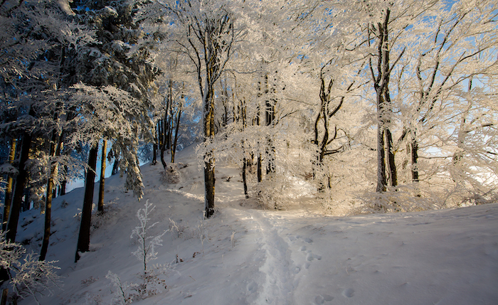 Naturpark Thal Winterwanderung im Jura