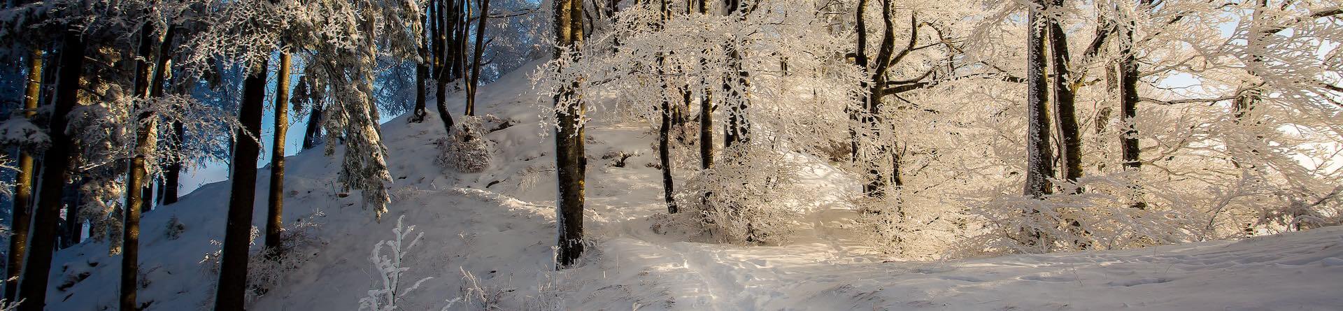 Naturpark Thal Winterwanderung im Jura