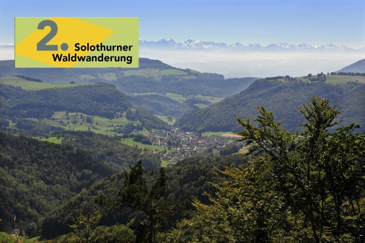 Naturpark Thal Solothurner Wald-Wanderung im Jura