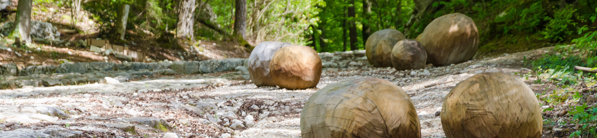 Naturpark Thal Themenwanderung im Jura auf dem Holzweg Thal