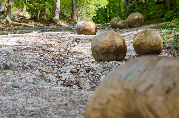 Naturpark Thal Themenwanderungen im Jura: holzweg Thal