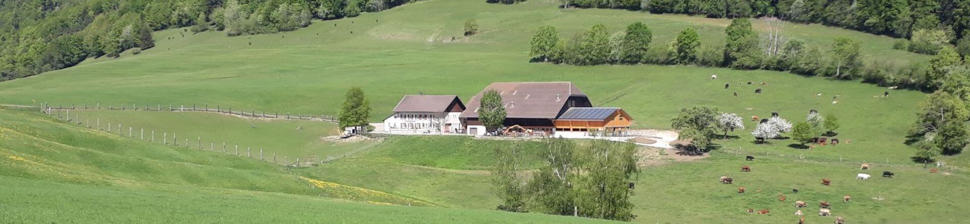 Naturpark Thal Schlafen im Stroh und Übernachtungserlebnisse