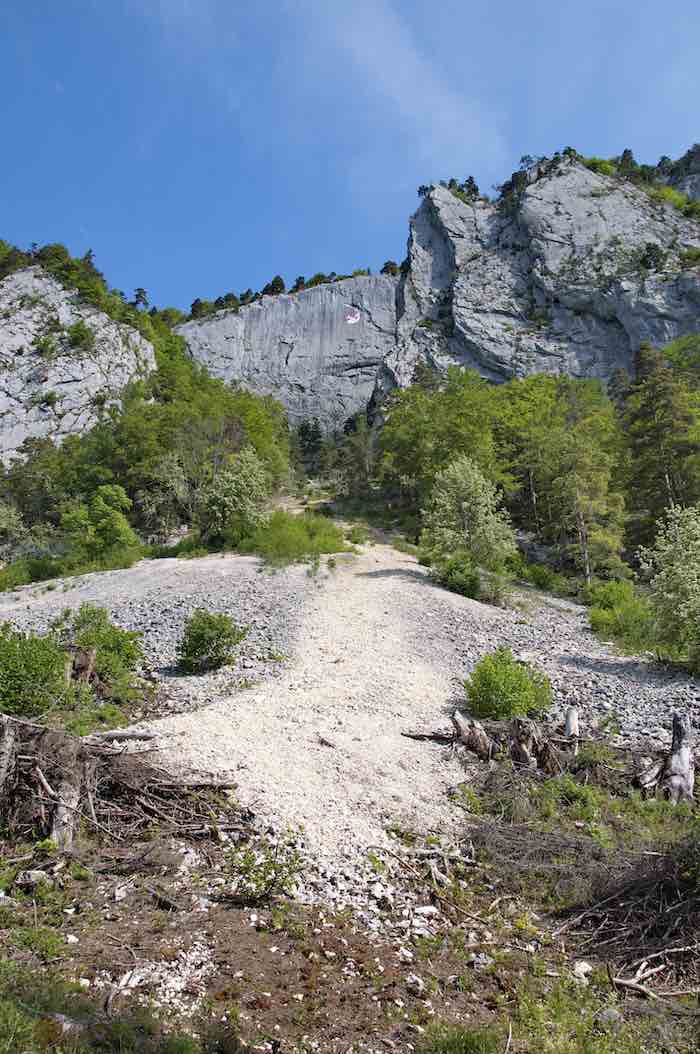 Naturpark Thal Fluhblumen und Felsen im Jura, Guldental