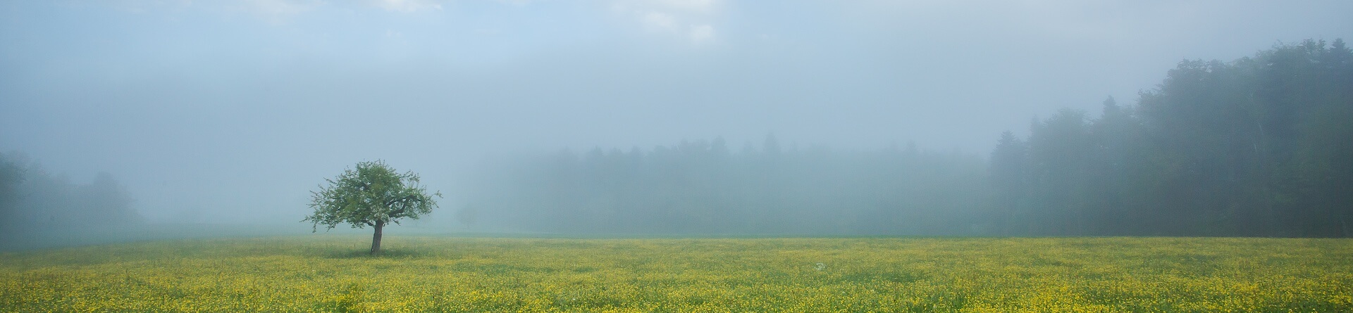 Naturpark Thal im Frühling