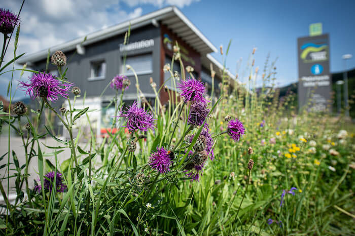 Naturpark Thal Thalstation Infostelle