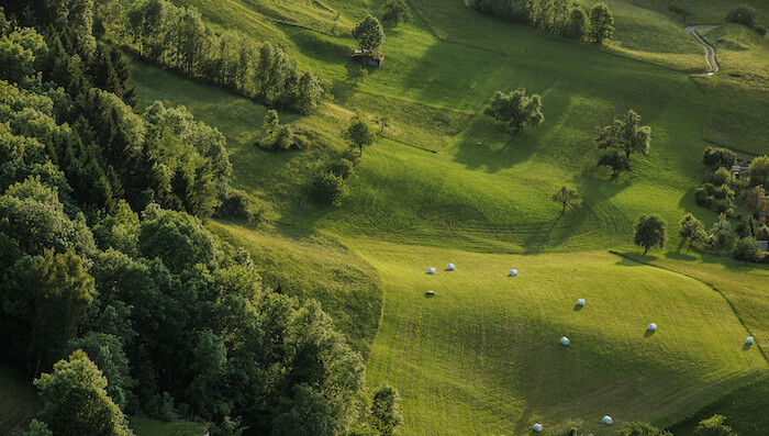 Naturpark Thal Projekte für Wald und Weide