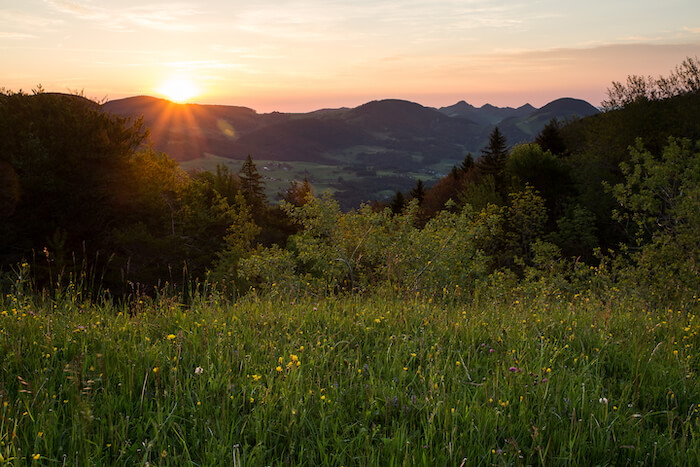 Naturpark Thal Natur und Landschaft im Thal