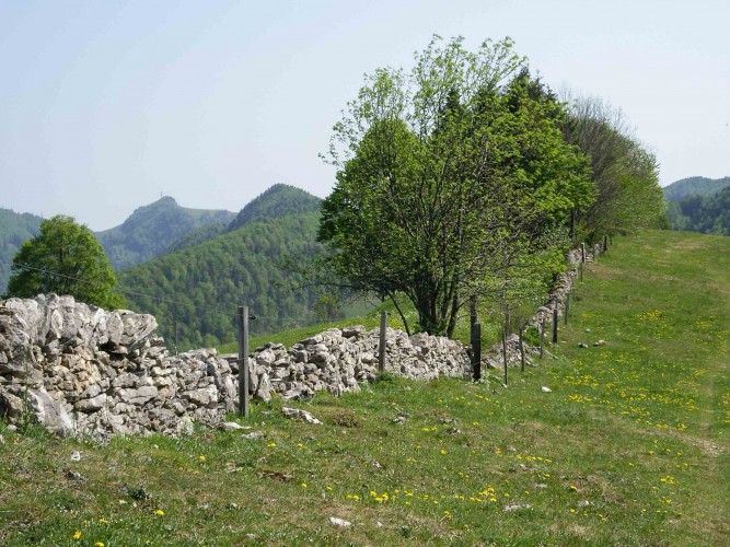 Naturpark Thal Projekt Trockenmauer