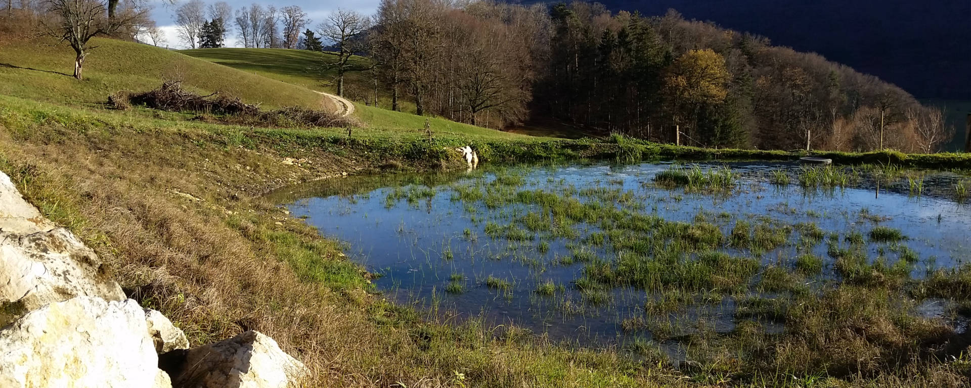 Naturpark Thal Weiher