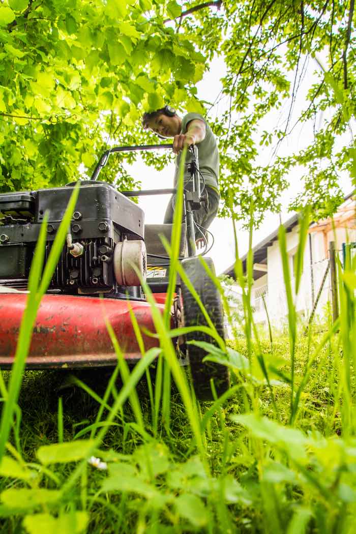 Naturpark Thal Jugendarbeit Projekt Sackgeldjobs