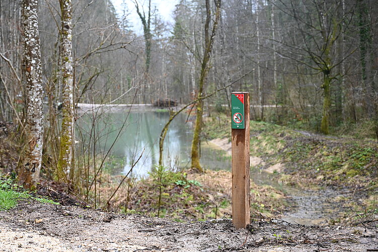 Leisiweiher