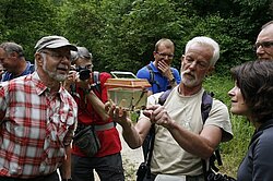 Naturpark Thal  Freunde des naturparks