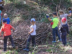 Naturpark Thal Einsatz für die Natur Asthaufen bauen