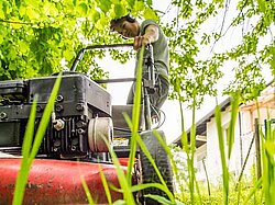 Naturpark Thal Sackgeldjobs für Jugendliche