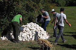 Naturpark Thal Einsatz für die Natur Wieselprojekt