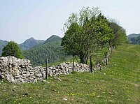 Naturpark Thal Projekt Trockenmauer