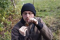 Naturpark Thal Forschungsprojekt Vogelberingung