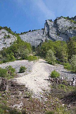 Naturpark Thal Fluhblumen und Felsen im Jura, Guldental 