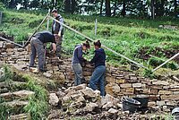 Naturpark Thal Projekt Trockenmauer